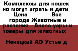 Комплексы для кошек, но могут играть и дети › Цена ­ 11 900 - Все города Животные и растения » Аксесcуары и товары для животных   . Ненецкий АО,Устье д.